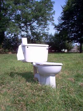 toilet 009